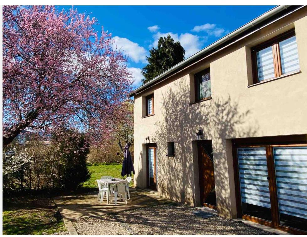 Gîte Magnolia Châtenois ALSACE Extérieur photo